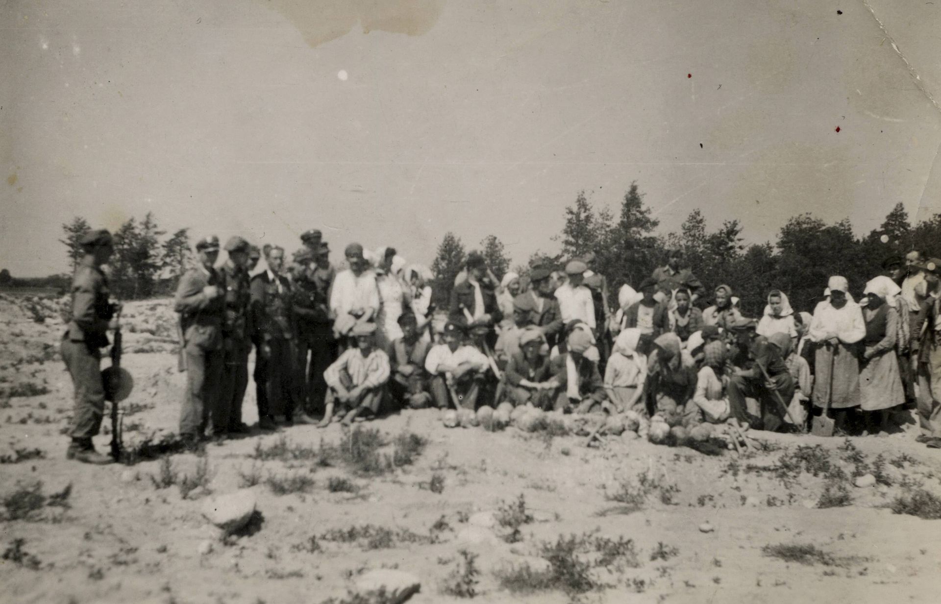 Photo 10 Zlote zniwa Treblinka fotografia